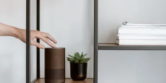 1-on-1 Interview in Pittsburgh on AI Assistants - $300 - $300 - 10/19/2026