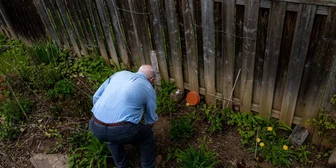 Focus Group in Cincinnati on Weed Control - $250 - $250 - 07/31/2026