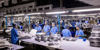 Research Study on Production Activities - $100 - $100 - 09/01/2026