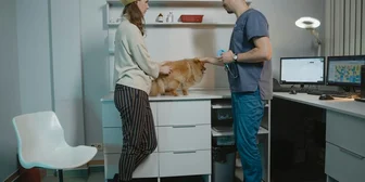 Research Study on Veterinary Care Coordination - $50 - $50 - 07/16/2026