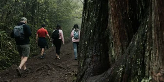 Research Study on Nature and Conservation - $250 - $250 - 08/05/2026