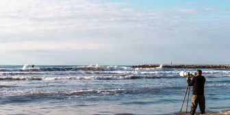 Research Study on Surf Culture - $100 - $100 - 08/23/2026