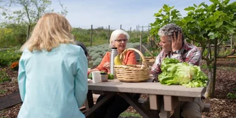 Focus Group in NYC on Healthy Aging - $110 - $110 - 09/05/2026