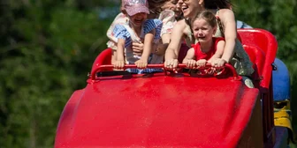 Research Study on Theme Parks - $200 - $200 - 08/23/2026
