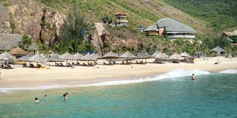 Focus Group on Travel - $200 - $200 - 09/08/2026