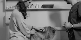 Research Study on Veterinary Care - $75 - $75 - 08/23/2026