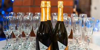 Research Study on Wine Drinking - up to $225 - up to $225 - 09/18/2026