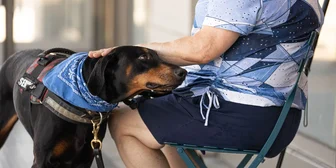 Research Study on Pet Care Products - $165 - $165 - 08/28/2026