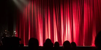 Research Study on Comedy TV - $250 - $250 - 08/27/2026
