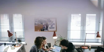 Research Study on Danish Professionals - $30 - $30 - 08/07/2026