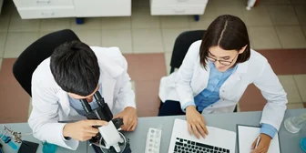 Focus Group in Boston for Clinicians - $650 - $650 - 09/16/2026