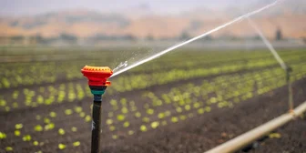 Research Study on Water Management - $200 - $200 - 07/02/2026