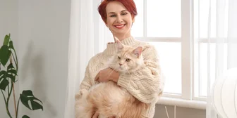 Research Study on Cat Health & Wellness - $150 - $150 - 11/17/2025