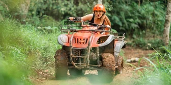 Focus Group in Charlotte on ATVs - $375 - $375 - 03/10/2026