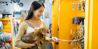 Focus Group on Pet Products - $100 - $100 - 11/06/2025