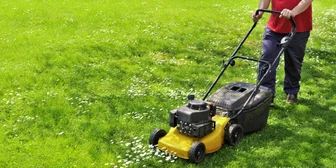 Focus Group in Cincinnati & Columbus on Lawn Care - up to $150 - up to $150 - 10/17/2025