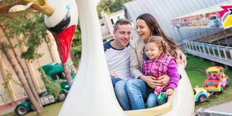 Focus Group in Orlando on Family Adventures - $200 - $200 - 03/26/2026