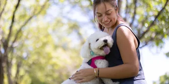 Graphic promoting Focus Group in Cincinnati on Pet Products, up to $150 payout, happening October 19, 2025
