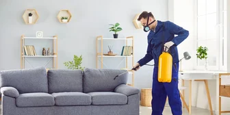 Research Study on Home Insects - $120 - $120 - 05/12/2026