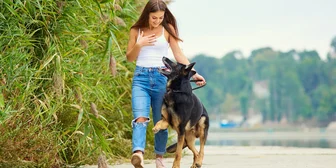 Focus Group on Pets - $125 - $125 - 03/16/2026