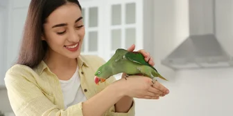 Focus Group in Chicago on Small Animals & Pets - $150 - $150 - 12/03/2025