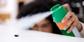 Focus Group in Cincinnati on Pest Control - $225 - up to $225 - 12/19/2025