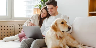 Focus Group on Telecommunications - $175 - $175 - 11/10/2025