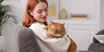 Focus Group in Nashville on Cats - $200 - $200 - 01/28/2026