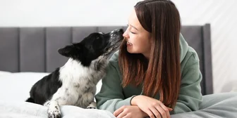 Focus Group on Dogs - $150 - $150 - 02/16/2026