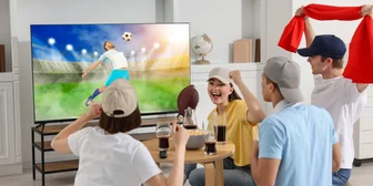Focus Group on Entertainment & Sports - $100 - $100 - 10/27/2025