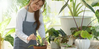 Focus Group for Women on Adult Hobbies -$150+ - $150 - 10/21/2025