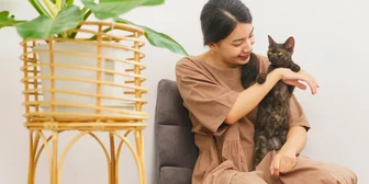 Research Study on Pets - $200+ - $200-$300 - 01/27/2026