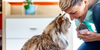 Research Study on Cat Feeding - $150 - $150 - 04/21/2026