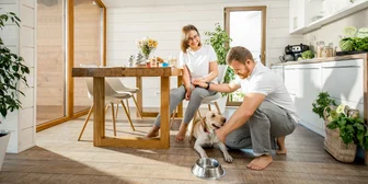 Focus Group for Homeowners - $150 - $150 - 01/13/2026