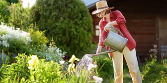 Focus Group in Atlanta on Lawns & Gardens - $175 - $175 - 12/31/2025