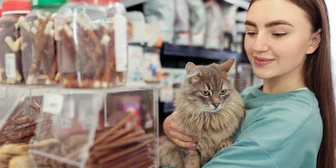 Focus Group on Pet Care - $300 - $300 - 10/29/2025