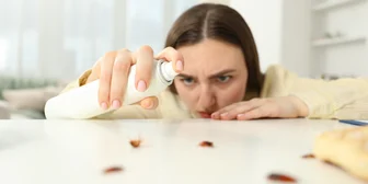 Focus Group in Cincinnati on Pest Control - $225 - up to $225 - 01/27/2026