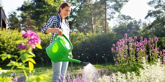 Lawns & Gardens Study in Austin - up to $175 - up to $175 - 01/28/2026