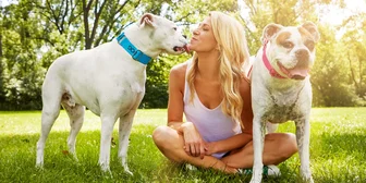 Focus Group on Pet Care - $200 - $200 - 04/23/2026