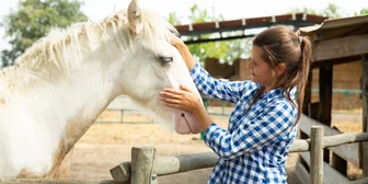 Focus Group on Horses - $125 - $125 - 12/05/2025