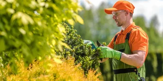 Product Test in Orlando on Lawn Care - up to $295 - up to $295 - 10/17/2025