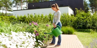 Focus Group in Irvine on Lawns & Gardens - $175 - $175 - 01/12/2026