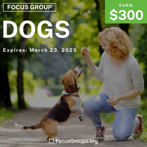 Focus Group on Dogs