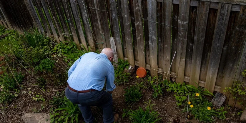 Focus Group in Cincinnati on Weed Control - $250 - $250 - 07/31/2026