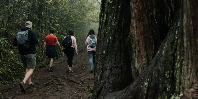 Research Study on Nature and Conservation - $250 - $250 - 08/05/2026