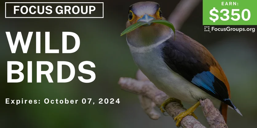 Focus Group in Tampa on Wild Birds - $350 - 09/25/2024