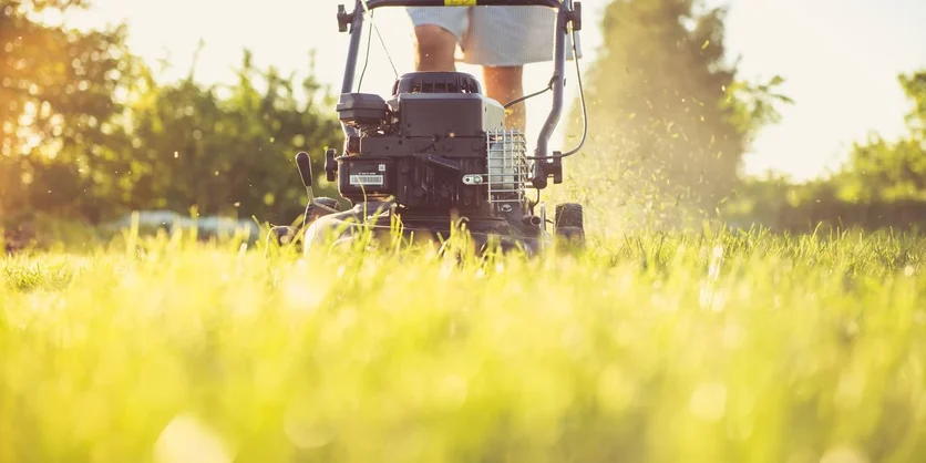 Focus Group on Lawn Care - $1000 - $1000 - 06/29/2026