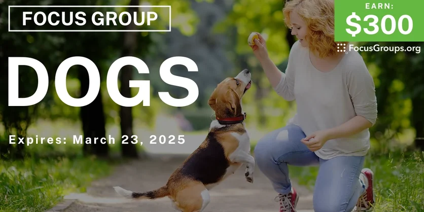 Focus Group on Dogs - $300 - 03/11/2025