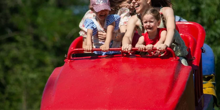 Research Study on Theme Parks - $200 - $200 - 08/23/2026
