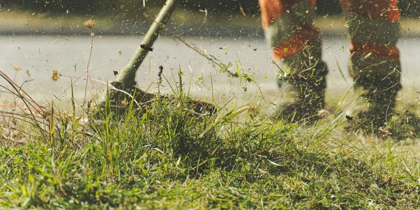 Research Study on Lawn Mowers - $100 - $100 - 08/07/2026